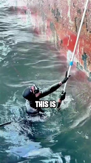 The Worst Job in the World Revealed