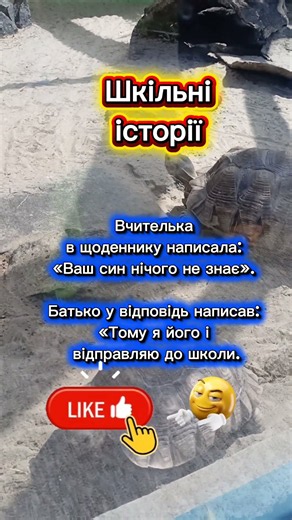 Шкільні історії #shortsua #сатира #анекдотипоукраїнськи