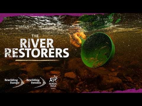 The River Restorers