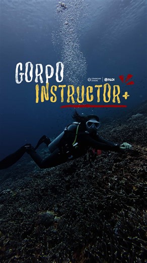 ✨ GoPro Instructor Plus Conservation at Ceningan Divers ✨ Ready to take your diving career to the next level? Our GoPro Instructor Plus Conservation Program blends world-class PADI Instructor training with real conservation experience—so you don’t just become a dive pro, you become a purpose-driven leader. Train with our PADI Platinum Course Director, join small dedicated groups, and gain the certifications and social skills that make you truly employable anywhere in the world. From mangrove res