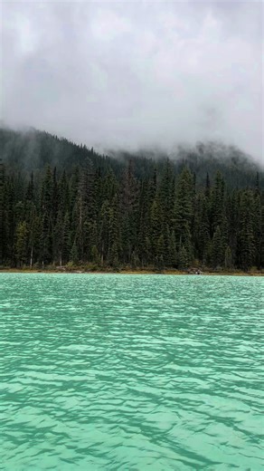 ash (@_.ashleysaunders)’s videos with sonido original - Sele Suárez