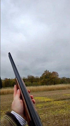 Pheasant hunting - Ray-Ban Meta Headliner (Gen 2)