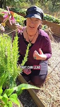3 Surprising Ways Rosemary Works as Medicine 🌿