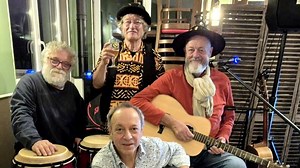 Les Vieux Haricots en concert : un voyage musical entre folk, blues et rock