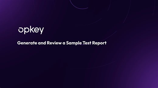 3.3 Generate and Review a Sample Test Report​