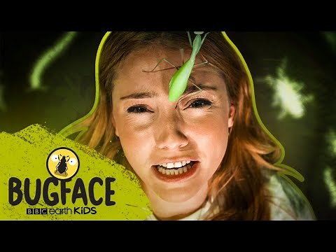 Rio Fredrika Faces A GIANT PRAYING MANTIS! | Bugface | BBC Earth Kids