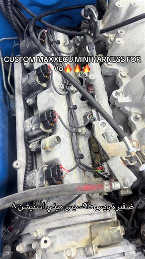 MAXXECU MINI HARNESS🔥💻 #fyp #nrtperformance #ahmedtuned #viral #dubai