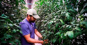 Innovative Hamilton company 80 Acres Farms impresses Ohio agriculture leader