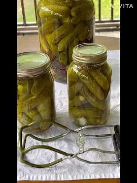 Dill Pickles 🥒. #pickle #canningtips#dillpickles #canning #preserving #canningandpreserving