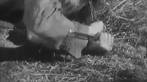 The Wolf Song (silent 1929) Gary Cooper, Lupe Velez, Louis Wolheim