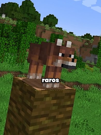 Novos Lobos no Minecraft! #minecraft