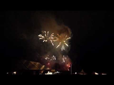 Feuerwerk Silvester Lauenbrück 2009