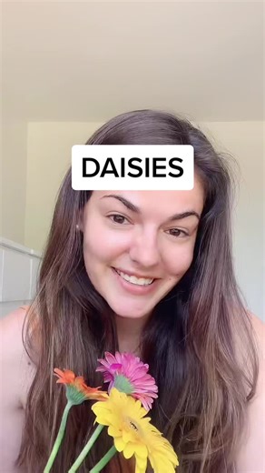 Decoding the Symbolism of Daisies: Unraveling the Language of Flowers