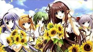 Mirage Lullaby ~Another Place~