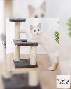 🏰 Pounce into playtime paradise! 😺✨ Your kitty deserves a fun-filled adventure right at home! The Active Cat Tower with Jumping Platform is designed to keep your feline friend entertained for hours. 🌈 With its sturdy construction and thoughtful design, this tower invites curiously playful leaps while fitting seamlessly into any indoor space. Watch your cat explore, climb, and bask in their natural instincts! 🐾 Limited stock available — snatch one up before they're gone! ⚡️ #CatToys #IndoorCa