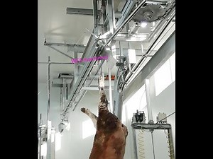WFA Cattle Abattoir Equipment Hoist Machine For Slaughterhouse Killing Machine