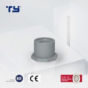 [Hot Item] Sch80 CPVC PVC Plastic Pshort Reducer Bushing for Hot and Cold Water