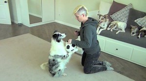 49K views · 1.4K reactions | Two people wrote to me saying that I...