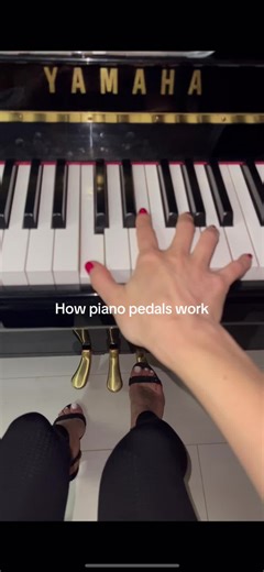 Understanding How Piano Pedals Work