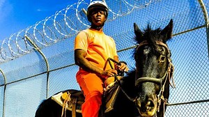 This Arizona prison is teaching inmates how to break-in wild horses in the hope that the skills they learn will stop them from reoffending | The Economist