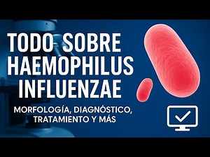 Haemophilus influenzae: Everything you need to know (Morphology, Diseases, Diagnosis and Treatment)