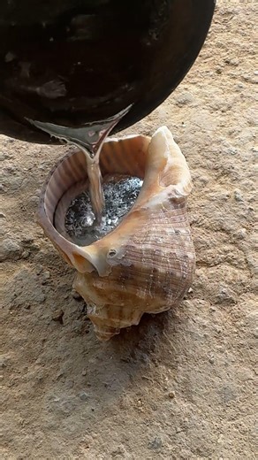 Making Aluminum Snail Shell at Home 🐌 #metalcasting #DIY #recycling