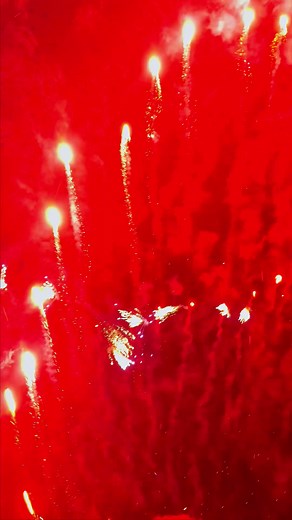 High end fireworks 👍🏻#fireworks #firework #riakeo #foryou #usa