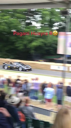 It sounds soooo good #goodwoodfos #goodwood #goodwoodfestivalofspeed #pagani #paganihuayra #paganihuayrar