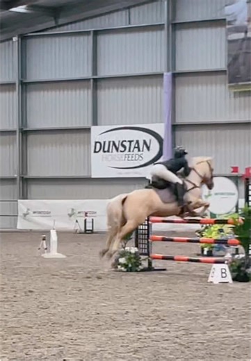 Exciting Show Jumping Highlights with Horses and Ponies
