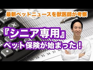アニコム損保の「どうぶつ健保しにあ」シニア専用のペット保険！？