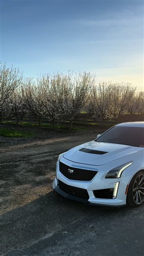 Exploring the Uniqueness of the Cadillac CTS-V