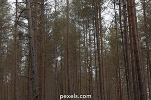 Dark Green Background Videos, Download The BEST Free 4k Stock Video Footage & Dark Green Background HD Video Clips