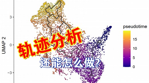 【单细胞实战学习指南】11.轨迹分析之cytoTRACE和monocle3