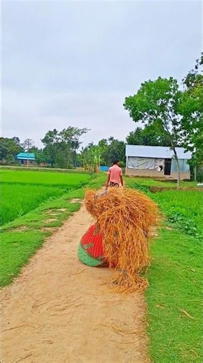 #funny #bangladesh #foryouシ #comedy #whowillbemylifepartnerta #dancecover