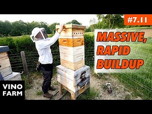 Bee Barn Beekeeping Is Different