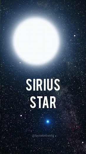 Sirius A and Sirius B | Brightest Star | Binary Star System | #sirius #binarystar #canismajor