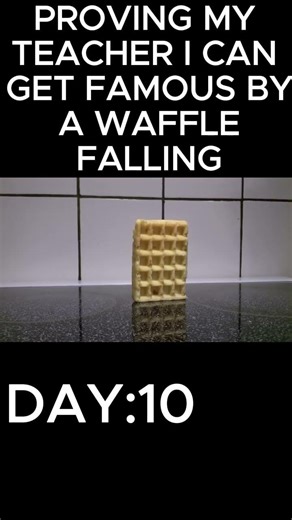 Waffle falling over | Day 10 #Wafflefalling#foryou