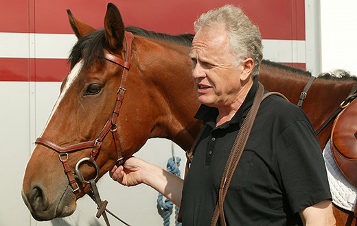 The Micklem bridle: what you need to know - Horse & Hound