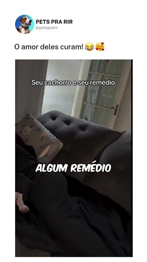 O enfermeiro de quatro patas chegou 😂🐶