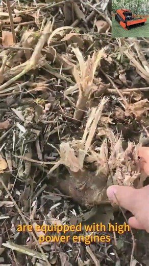 rubber track remote operated weed eater buy online #farming #xcavator #mower #lawnmowingbusiness