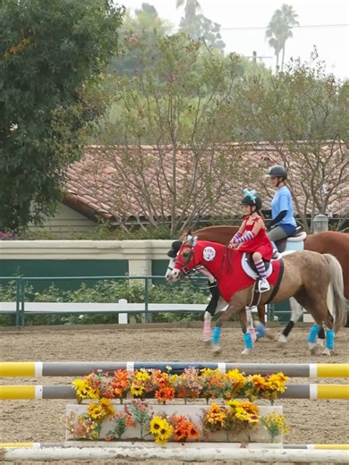 The Paddock Riding Club on Reels