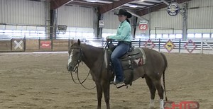 Loping Tips To Prepare Your Horse To Show - Cutting Horse Training Videos, Clinics, Coaching - CHTOLive