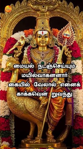 Murugan Kanda Sasti Kavasam | முருகன் கந்தசஷ்டி திருவிழா சிறப்பு பாடல்கள் | PAAL MARUGA #murugan