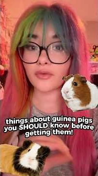 things you should know about guinea pigs before getting them! 🐹💞 #pets #petroom