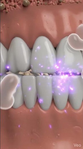 What If You Never Brushed Your Teeth?