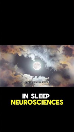 Sleep Is The KEY To A Super-Efficient Brain!