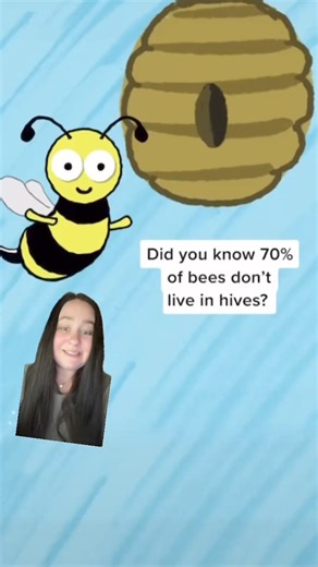 44K views · 129 reactions | You can help native bees who live in the ground by letting your lawn grow and leaving sticks, stems and leaves around for them to nest in. #savethebees #beehive #honeybees #todayilearned #FYI | ATTN: | Facebook