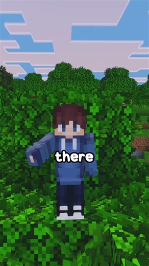 Four reasons to use my Minecraft Host! #minecraft