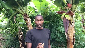 80K views · 4.5K reactions | A project you can run remotely when you put in the right systems in place. | Radical Farmer - Organic Farm7 | Facebook