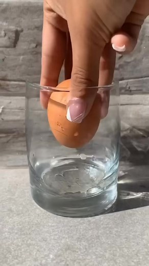 Coca cola egg experiment | Aleloko